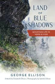blue shadows